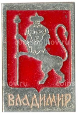 Значок Владимир