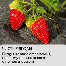 Материал мульчирующий, 10×1.6 м, плотность 80 г/м², спанбонд с УФ-стабилизатором, чёрный, Greengo, Эконом 30%