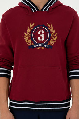 Мужской бордово-красный свитшот Неожиданная скидка в корзине - U.s. polo assn фото 6