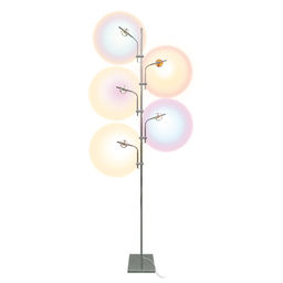 ULM-T640 5x2W/3000K CHROME MULTICOLOR Торшер напольный светодиодный, c регулировкой наклона, с линзами. Сменные светофильтры в/к. Механический выключатель. Металл. Хром. ТМ Uniel