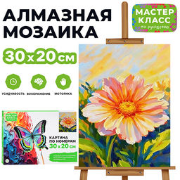 Картина по номерам MKR3020-153 "Полевой цветок" 30х20 см.