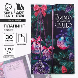 Подарочный набор новогодний, планер-стикеры 30 листов, ручка пластик Зима подарит чудо! Твой самый лучший год!