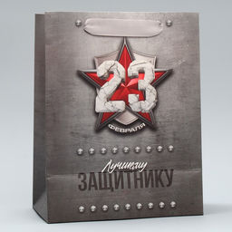 Цена за 2 шт. Пакет подарочный ламинированный, упаковка, «С 23 февраля», ML 23×27×11.5 см
