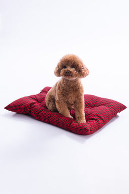 Pet K?rm?z? Potikare Desenli Ici Dolgulu Kedi Ve Kopek Yatag? 50x70cm TPHAW26KK00005