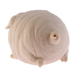 Цена за 12 шт. Антистресс игрушка «Собачка», мялка с пастой, МИКС