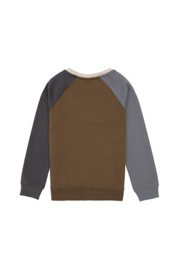 Толстовка цвета хаки для мальчика Неожиданная скидка в корзине - U.s. polo assn фото 2