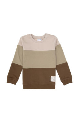 Erkek _ocuk Haki Basic Bisiklet Yaka Sweatshirt - U.s. polo assn фото 2