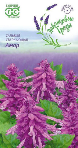 Амор сверкающая сальвия 4 шт (г)