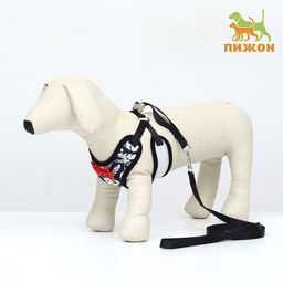 Комплект с мягкой шлейкой и бантиком Перья, размер M, поводок 120 x 1,5 см, ОГ 28-46 см