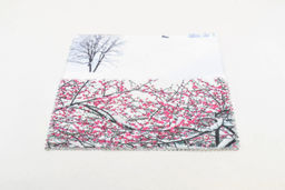 САЛФЕТКА №2