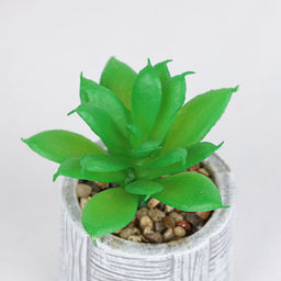 Цветочная композиция Кактус / WER-22 /уп 12/192/ микс - Галеонтрейд фото 9