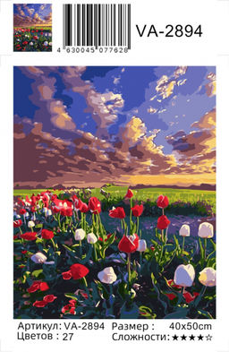 Картина по номерам на холсте и подрамнике 40х50 см