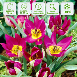 76008356726b6d548797952e17f1a04aecuw762smme2gjnyq