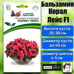 Бальзамин Уоллера махровый Корал Лейс - Партнер фото 2