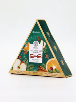 Подарочный набор новогодний: гель для душа 2 шт х100 мл, мочалка для тела, аромат яблоко и глинтвейн, URAL LAB