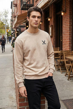 Bej Oversize/Geni_ Kesim Uzun Kol Hayvan Nak__l_ Sweatshirt TMNAW24SW00164 - Trendyolmilla фото 2