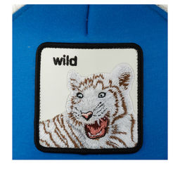 Детская бейсболка GOORIN BROTHERS арт. 201-2055 (синий)