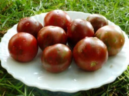 Помидоры Цзы-Ю — Дзы-Би-Ю