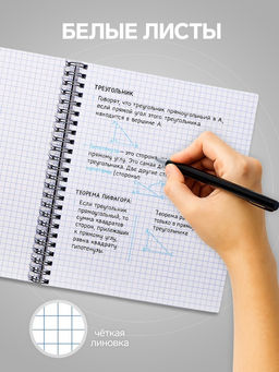 Тетрадь 96 листов в клетку, на гребне «Геометрические фигуры в природе», МИКС