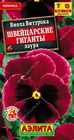 Виола Швейцарские гиганты лаура (2029)