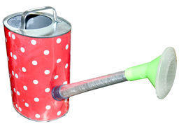 Лейка огородная декоративная 10 л. оцинкованная