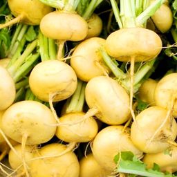 Репа Деревенская Отборная