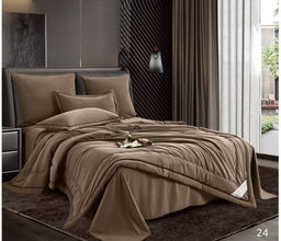 Одеяло Candies Бархатный Сатин с простыней и наволочками ODCANO024 Евро