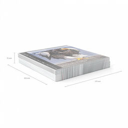 Цена за 5 шт. Тетрадь общая ученическая ErichKrause Энциклопедия, Красная книга России. Птицы, 48 листов, клетка, глянцевая ламинация_MIX-PACK  фото 12