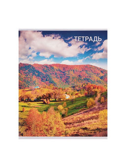 Набор тетрадей, 96 листов в клетку, Calligrata Природа, серые листы, 4 штуки  фото 8