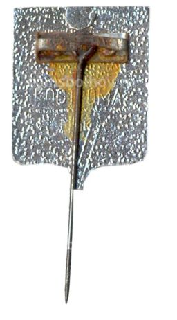 Значок Кострома