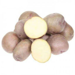 Картофель Жуковский ранний (элита) / Россия/ 2 кг. Картофель Жуковский ранний (элита) / Россия/ 2 кг.