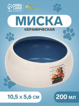 Миска керамическая Tasty, скошенный край 200 мл - 10.510.55.6 см, синяя/белая