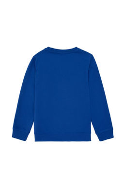 Толстовка Saks Basic для мальчика - U.s. polo assn фото 2