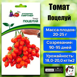 Томат Поцелуй - Партнер фото 2