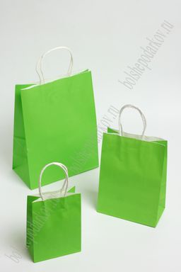 Пакет крафтовый 15*21*8 см (12 шт) SF-7175, зеленый