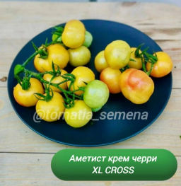 Аметист крем черри XL cr4