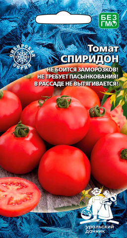 Томат СПИРИДОН  Не боится заморозков! Не требует пасынкования! Коренастая рассада!