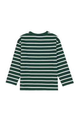 Erkek _ocuk Koyu Ye_il Bisiklet Yaka Sweatshirt - U.s. polo assn фото 3