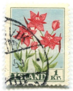 Марка Иван-чай Фляйшера Исландия