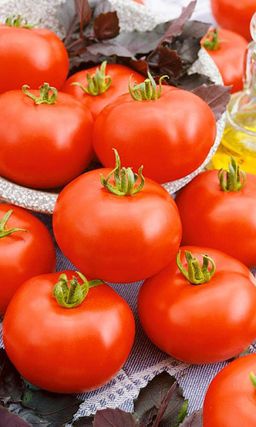 Томат НАША МАША F1 Сверхпродуктивный гибрид! В кисти пять вкуснейших томатов массой по 150-200 г! Сахарные плоды!