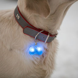 Маячок-адресник Косточка с наклейкой под записку 3 режима свечения голубой - Пижон фото 7