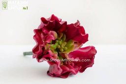 067 Суккулент 7 - Без тм фото 3