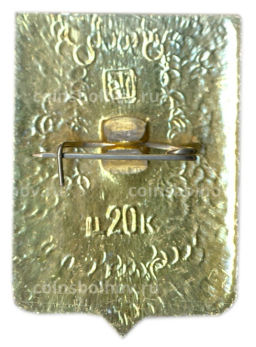 Значок Городище