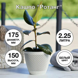 Кашпо Ротанг (2,25л) Цв. Белый/белый (Арт. КШ-7942)