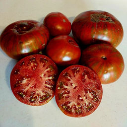 7079T Томат Странная вещь девушки 10шт