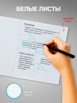 Комплект тетрадей из 5 шт, 48 листов, клетка, Цветной камуфляж, обложка мелованный картон, блок офсет - Calligrata фото 6
