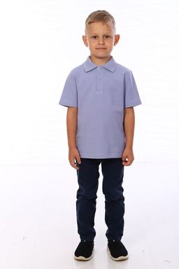 Ф026 Футболка Поло кор. рукав (серая)