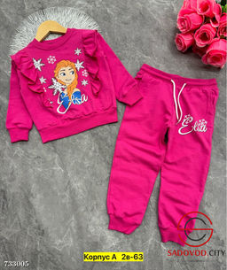 Костюм спортивный двойка