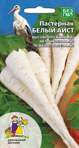 Пастернак БЕЛЫЙ АИСТ  Высокоурожайный! Неприхотливый! Лёжкий и очень полезный!