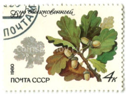 Марка Дуб обыкновенный 1980 год